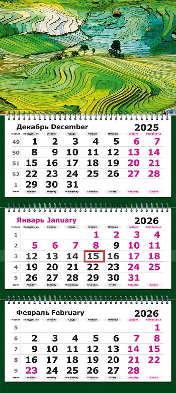 Календарь настенный 3-блочный 2026 "рисовые террасы" +бегунок