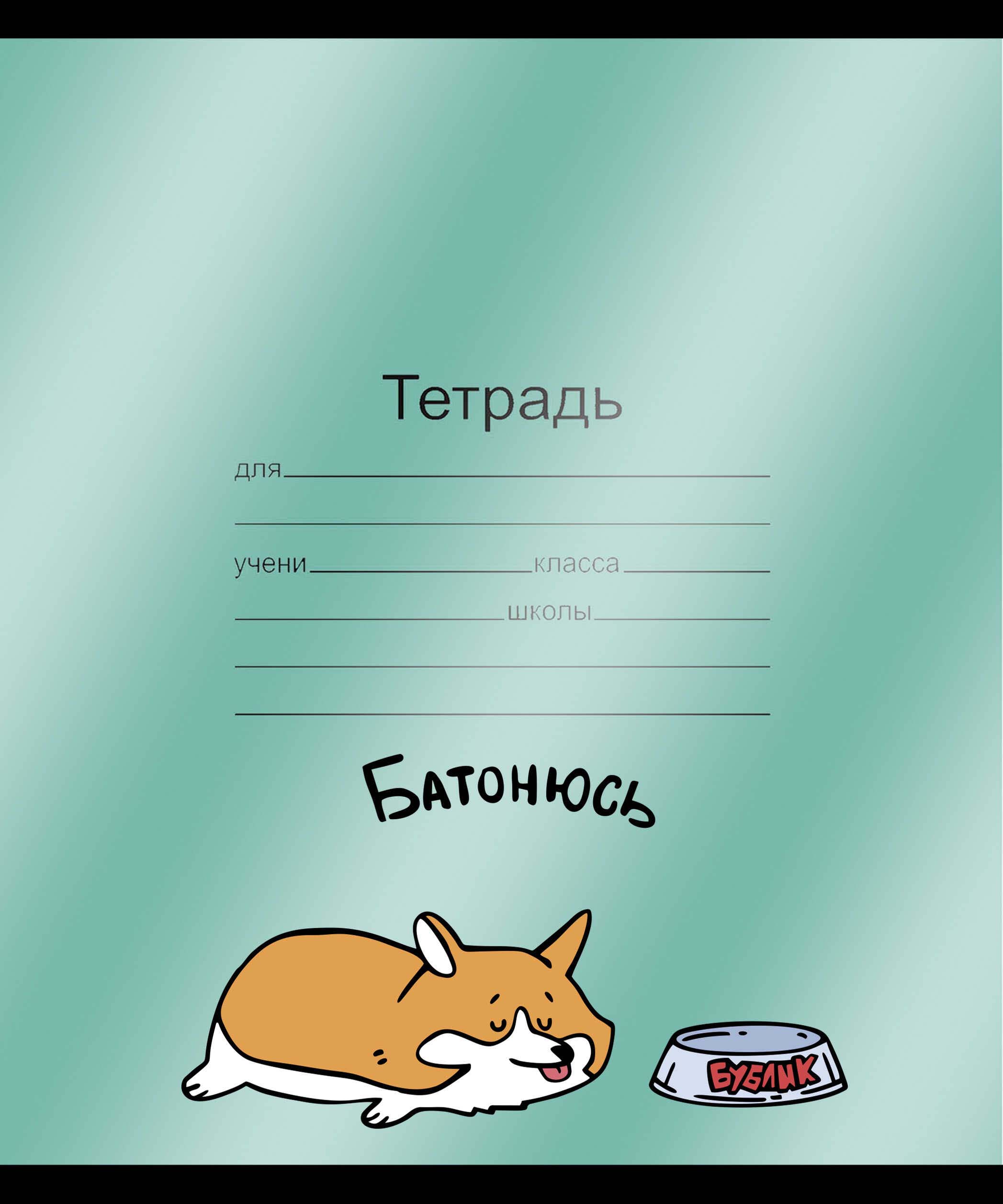 Обложка для тетради пвх 120мкм феникс+ "герои с характером" (216x350мм) 3шт.