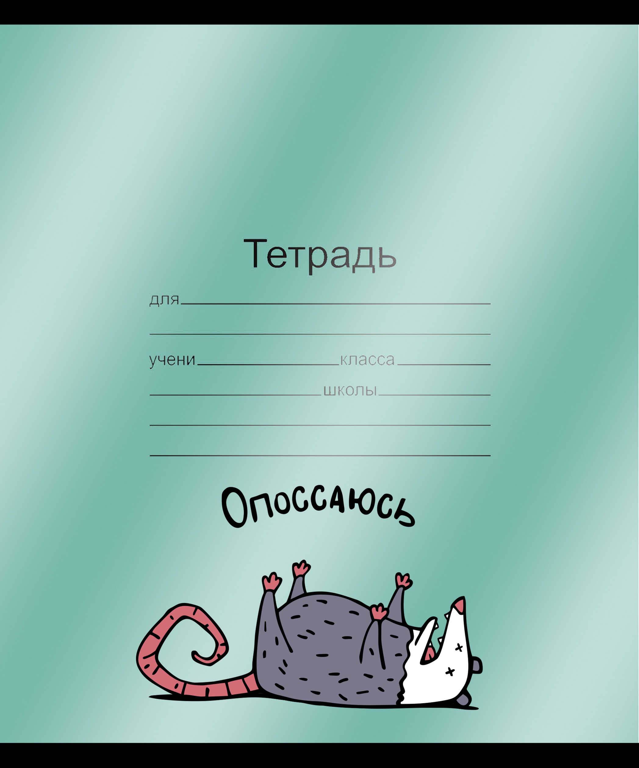 Обложка для тетради пвх 120мкм феникс+ "герои с характером" (216x350мм) 3шт.