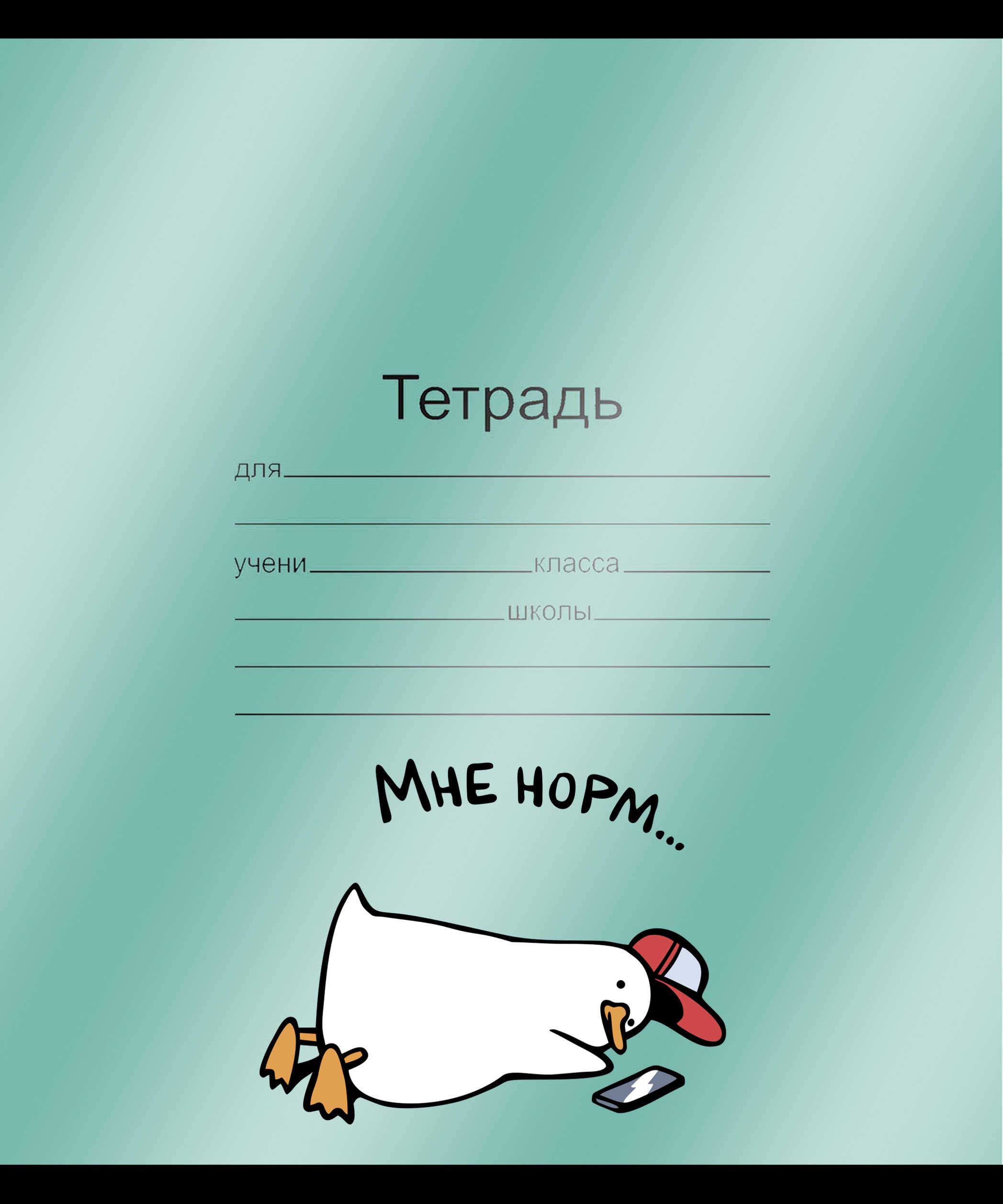 Обложка для тетради пвх 120мкм феникс+ "герои с характером" (216x350мм) 3шт.
