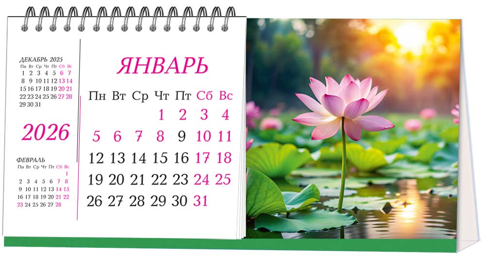 Календарь настольный 2026 гребень "розовый лотос"