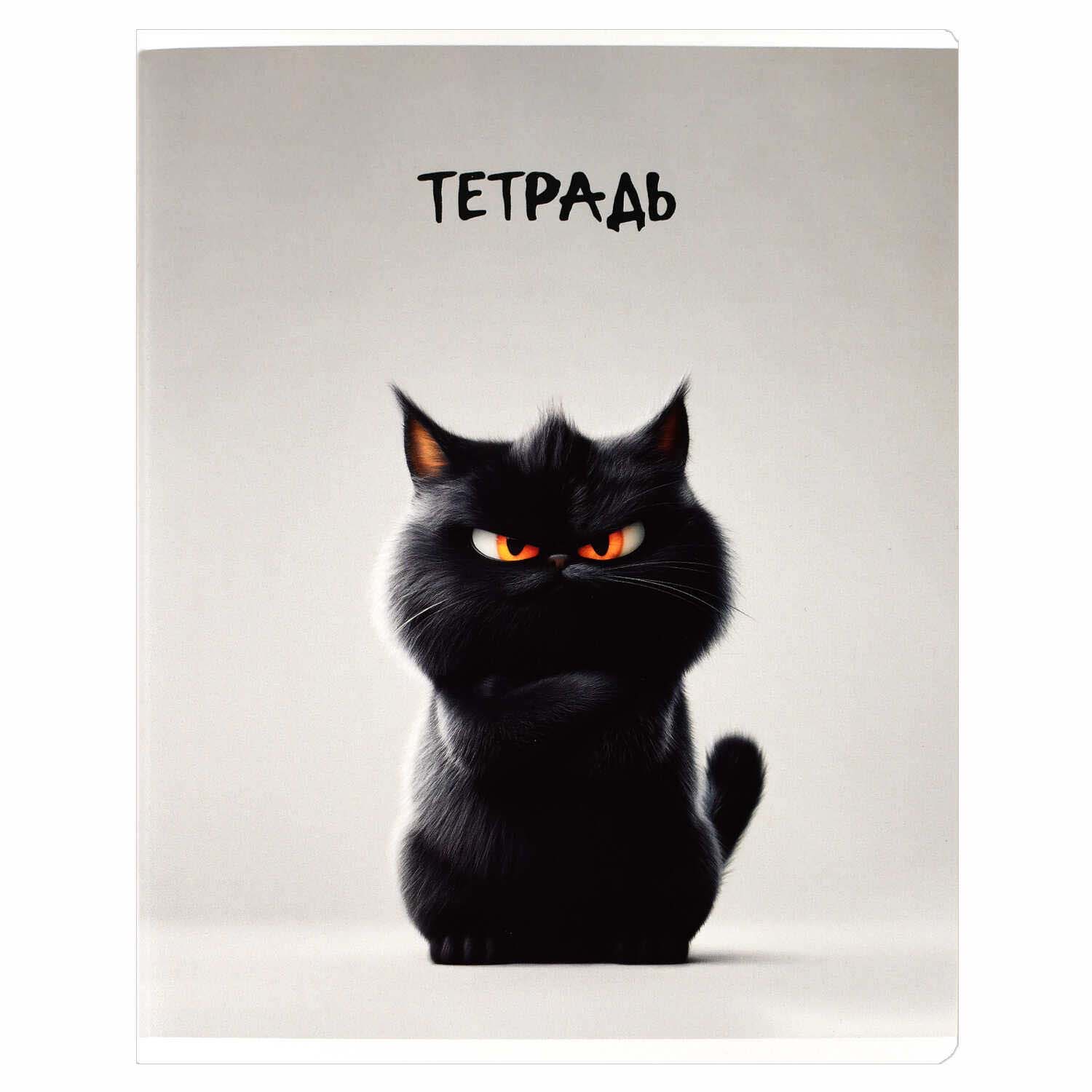 Тетрадь 48л. кл. "сердитые звери" (феникс+) б/б,выб.твин лак,асс-т