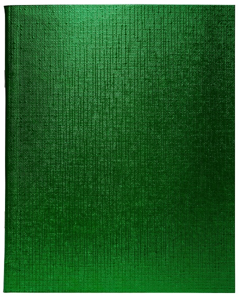Тетрадь бумвинил metallic 96л. кл. зелёная (hatber) б/б