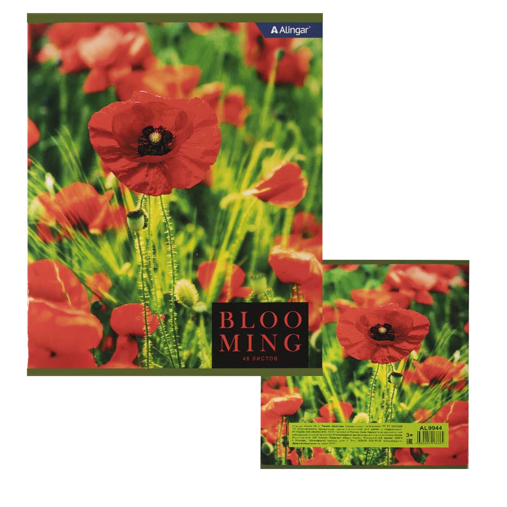 Тетрадь 48л. кл. "blooming" (alingar) б/б,асс-т