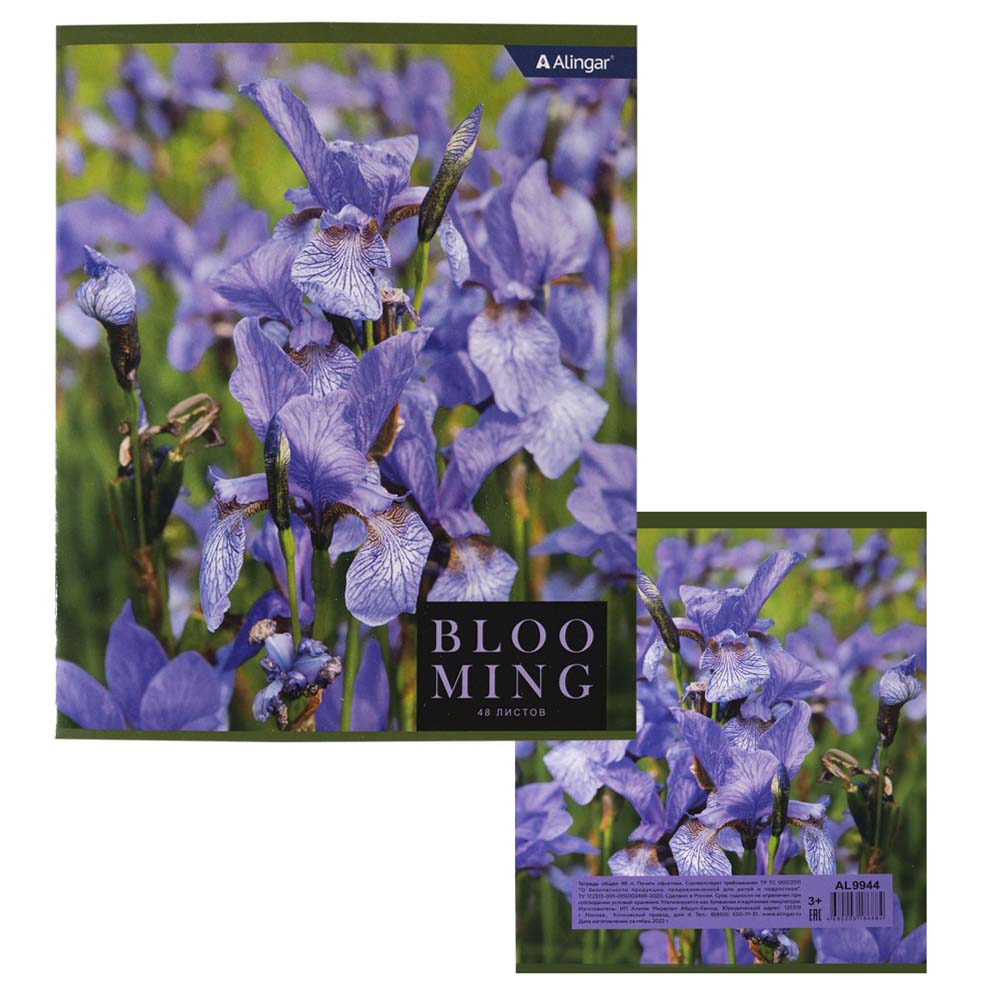 Тетрадь 48л. кл. "blooming" (alingar) б/б,асс-т
