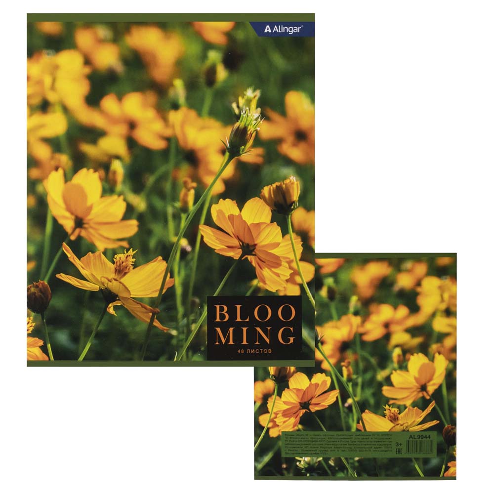 Тетрадь 48л. кл. "blooming" (alingar) б/б,асс-т