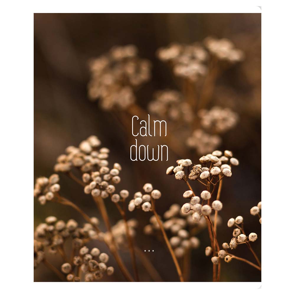 Тетрадь 96л. кл. "calm down" (bg) б/с,асс-т