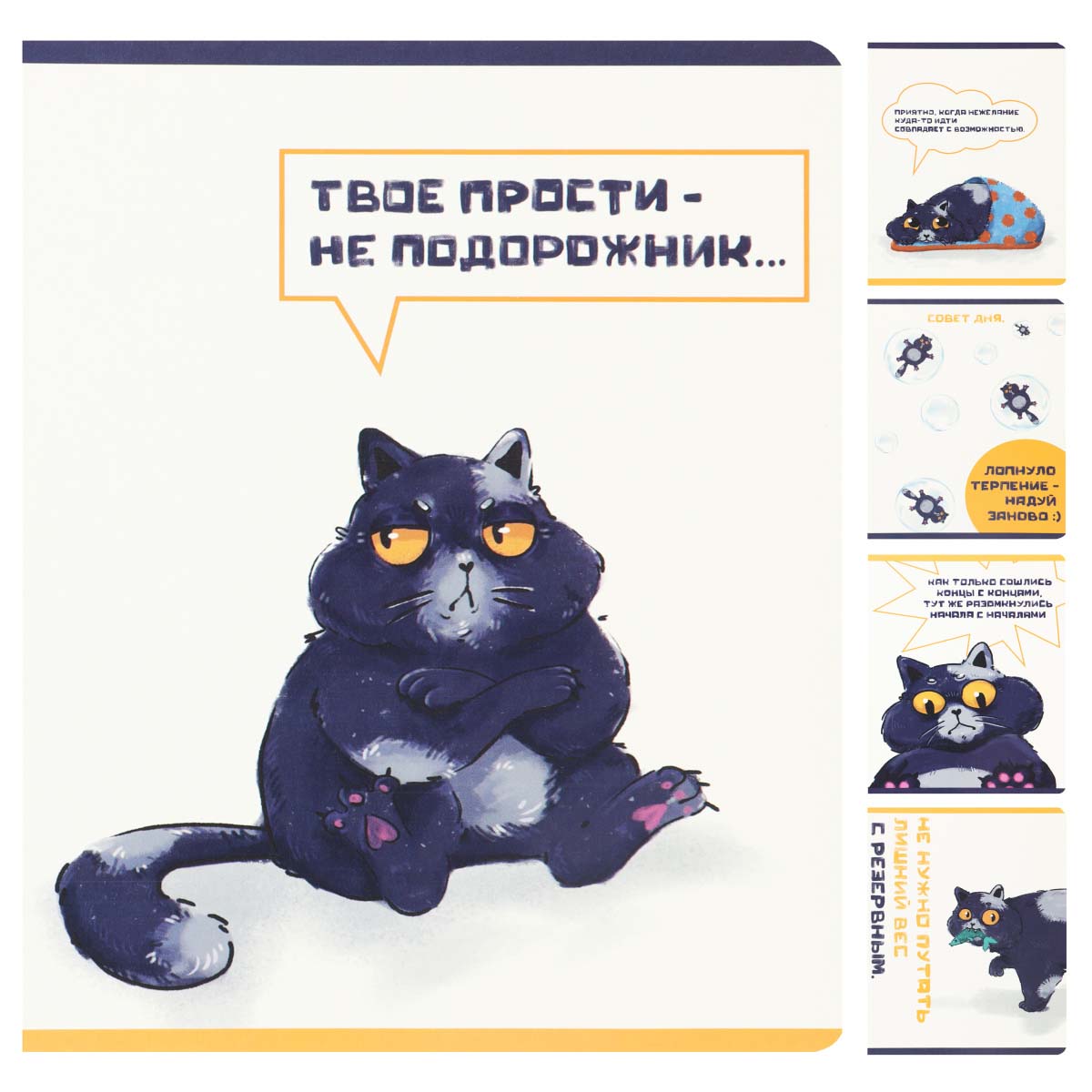 Тетрадь 48л. кл. "кот бисквит" (кокос) б/б,мат.лам.,асс-т