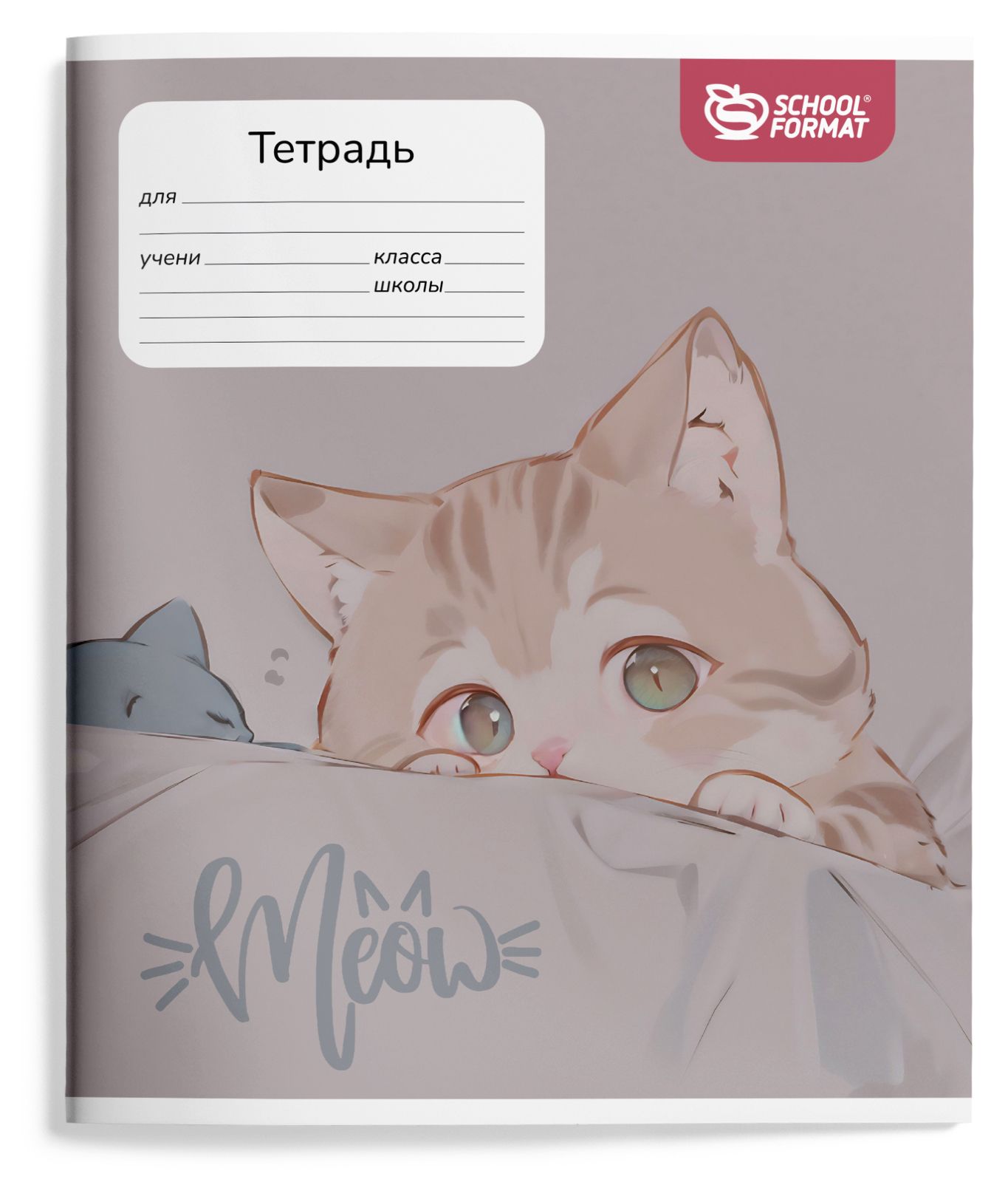 Тетрадь 24л. лин. для девочек (schoolformat) б/б,лак,асс-т