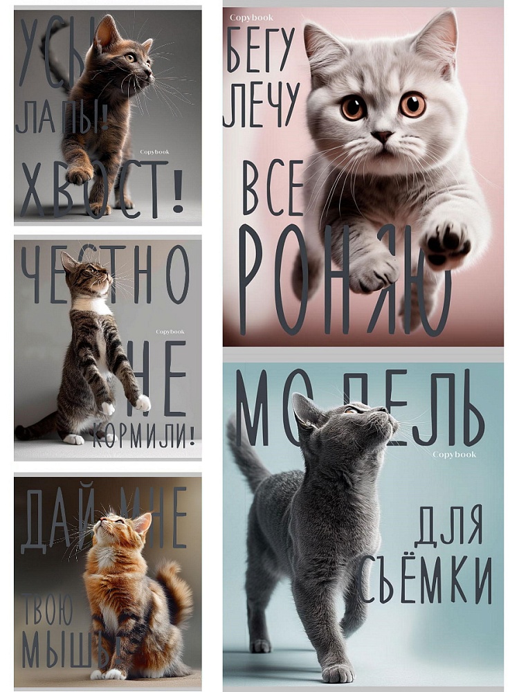 Тетрадь 96л. кл. "котики и надписи" (проф-пресс) б/б,лён,серебро,асс-т