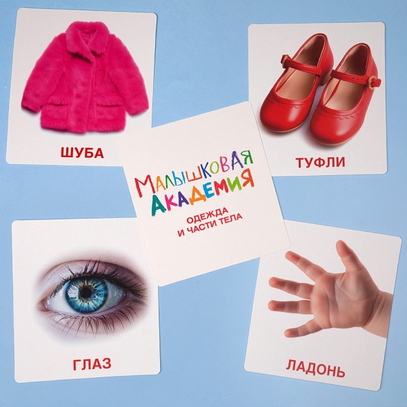Карточки развивающие "малышковая академия. одежда и части тела" 60 карт. (hatber)