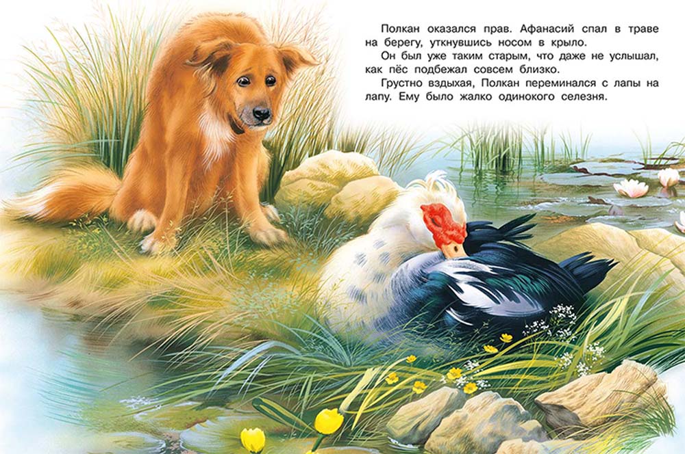 Книга "как хорошо быть нужным"