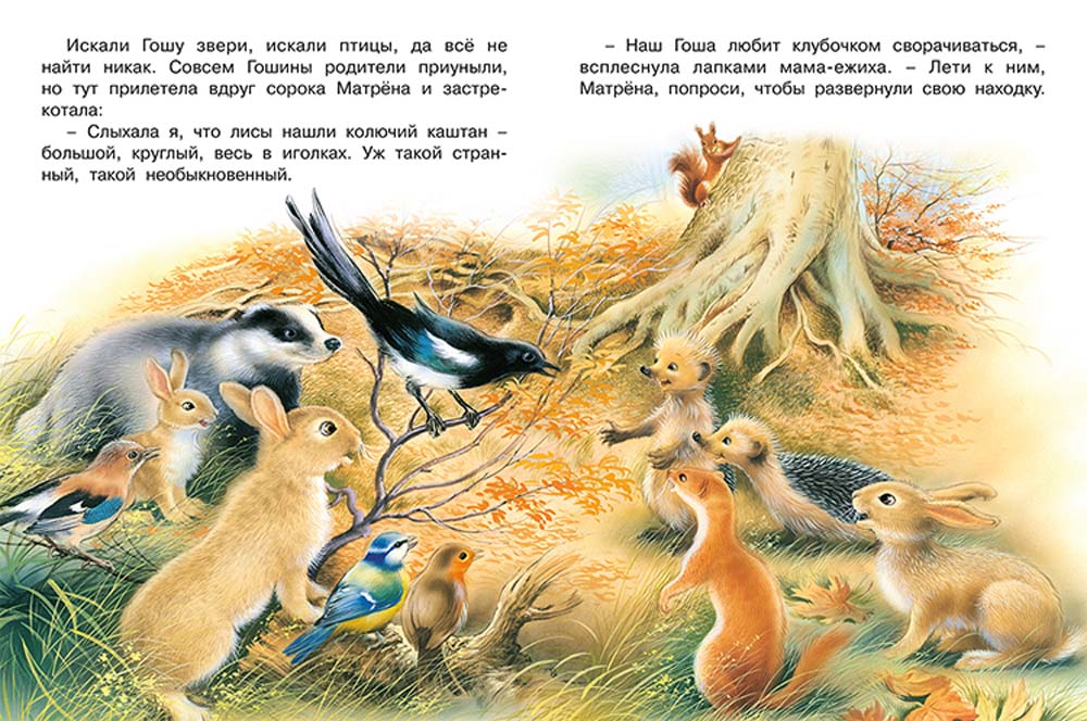 Книга "лесной переполох"