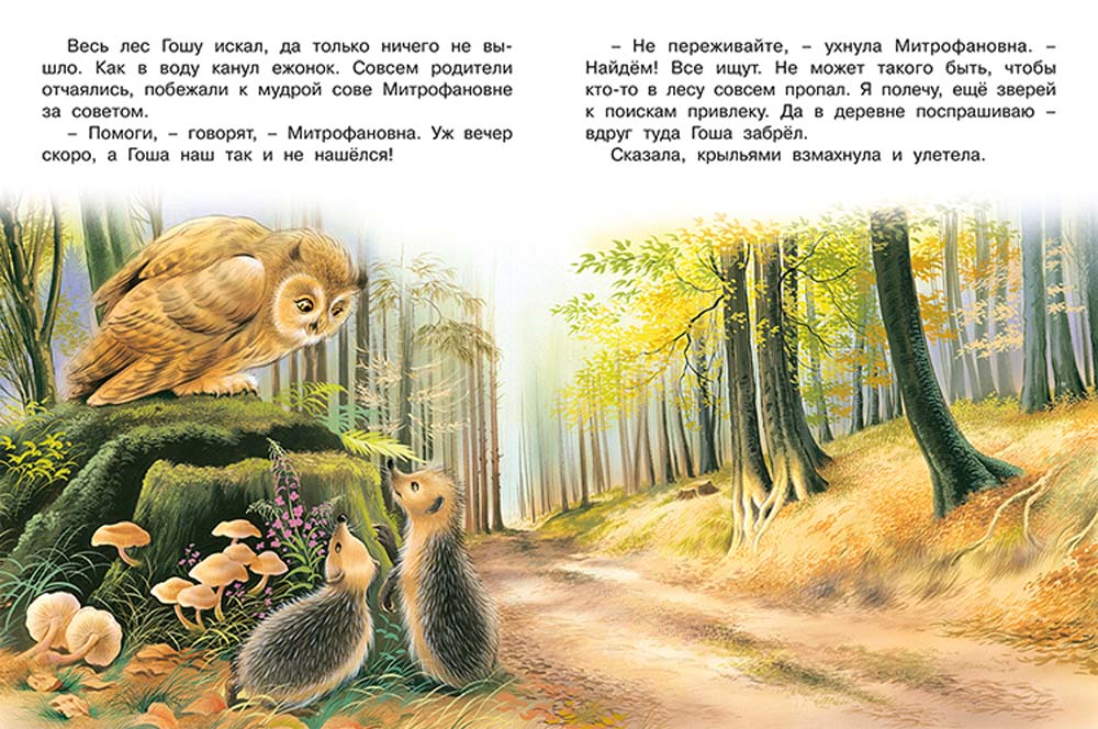 Книга "лесной переполох"