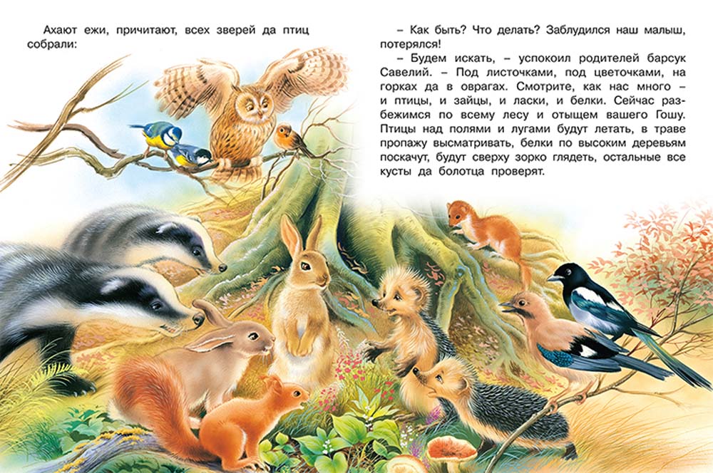 Книга "лесной переполох"