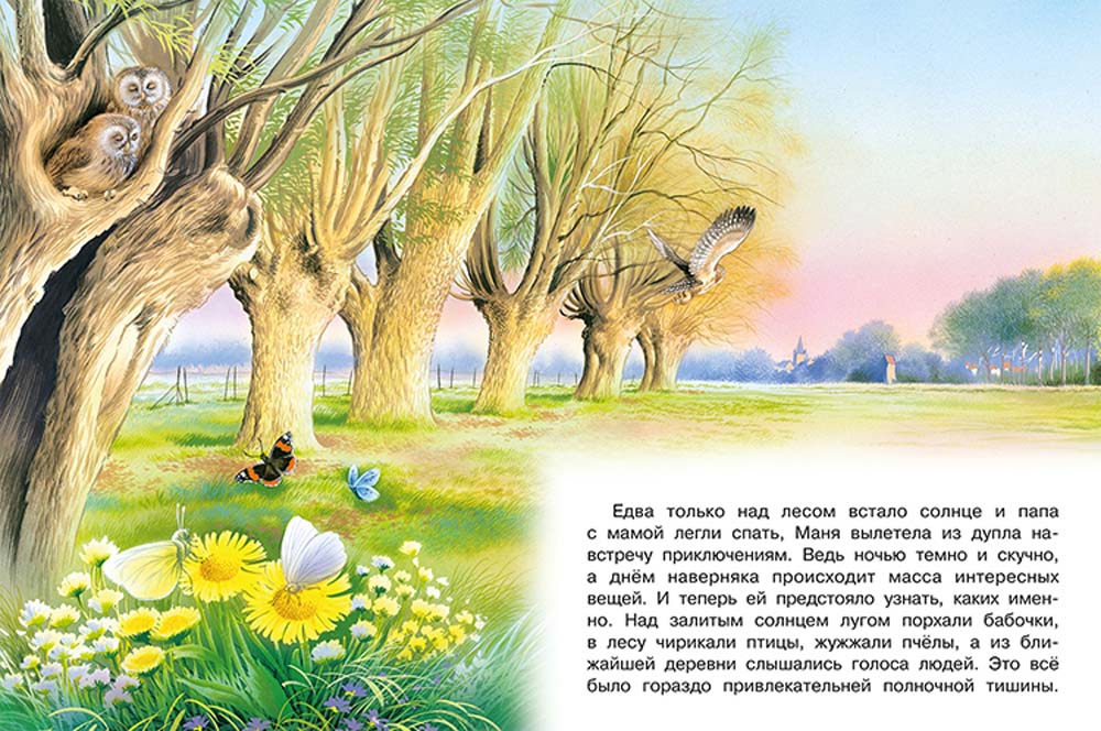 Книга "приключения совы и её друзей"