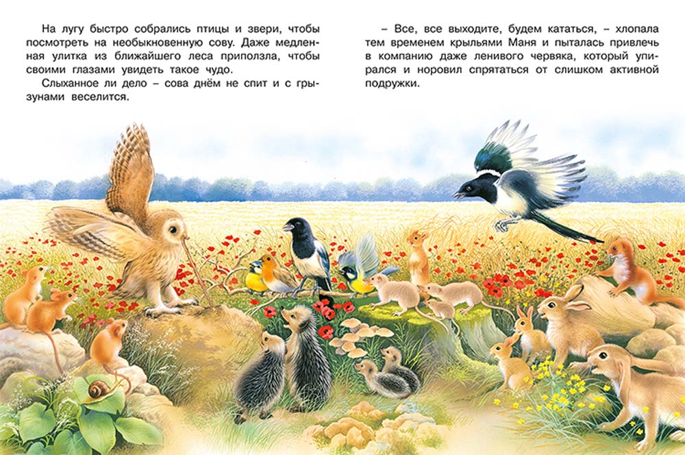 Книга "приключения совы и её друзей"