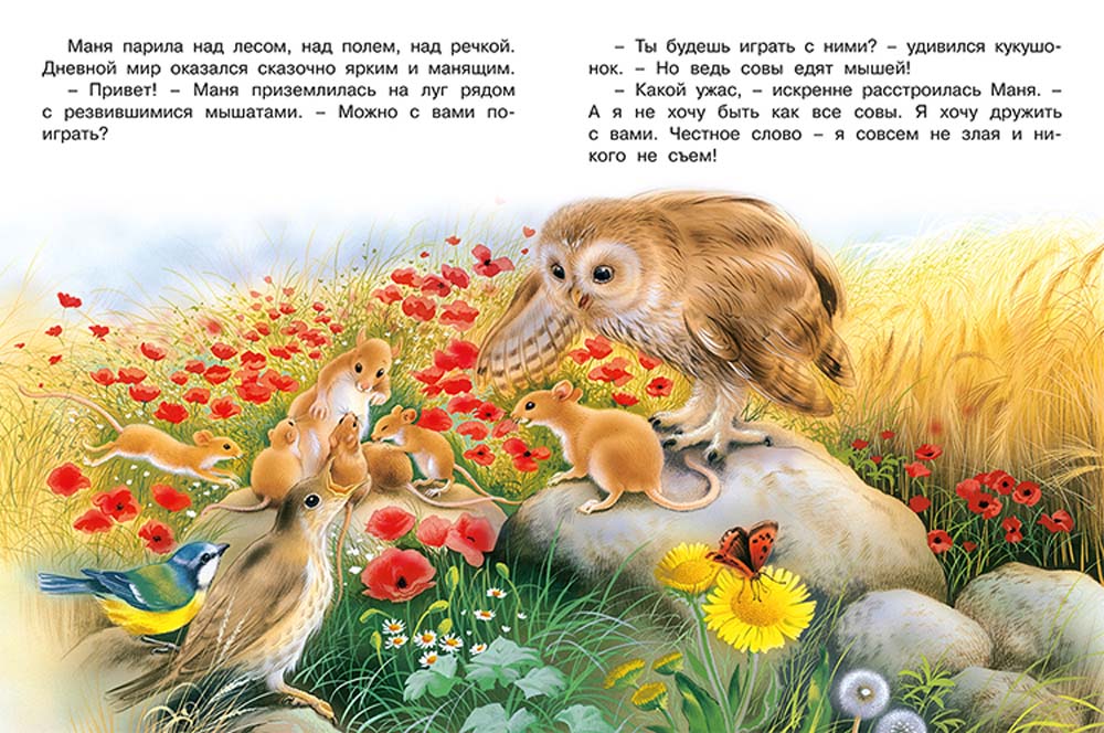 Книга "приключения совы и её друзей"