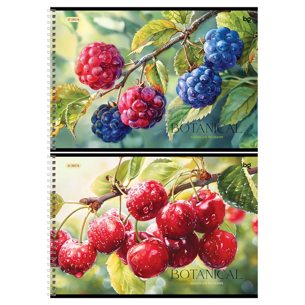 Альбом д/рис. а4 32л.гребень "botanical" (bg) асс-т