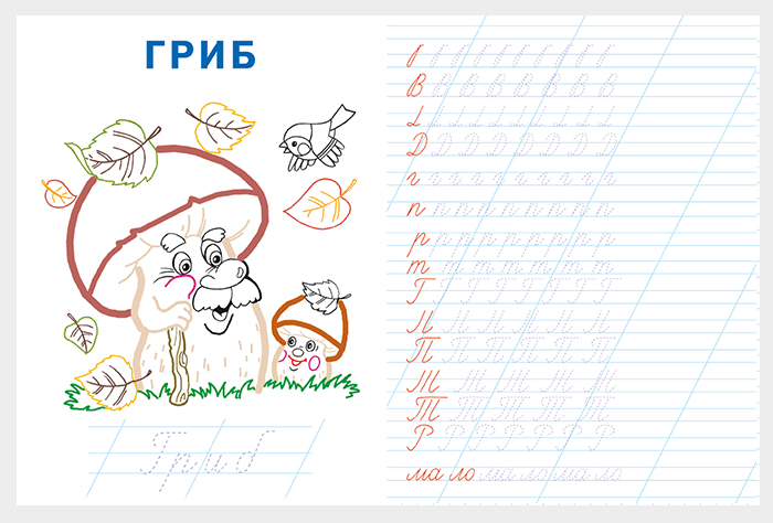 Прописи "цветные прописи. учимся писать буквы" (фламинго)
