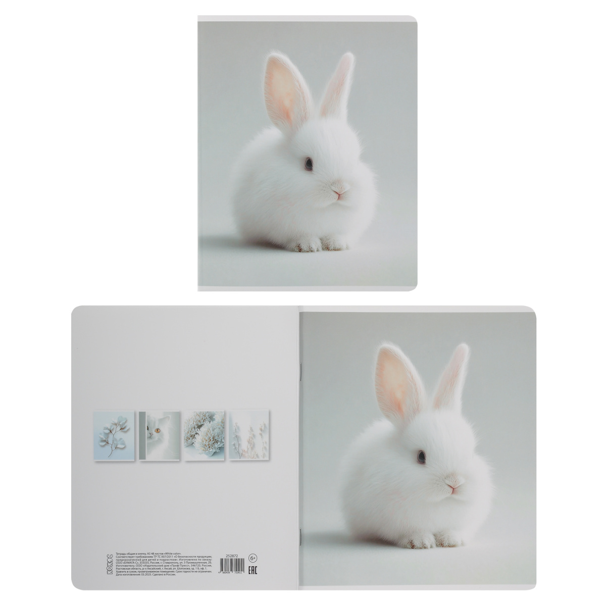Тетрадь 48л. кл. "white color" (кокос) б/б,мат.лам.,асс-т