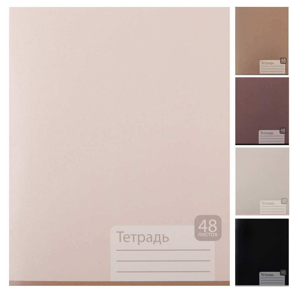 Тетрадь 48л. кл. "girl's palette" (кокос) б/б,асс-т
