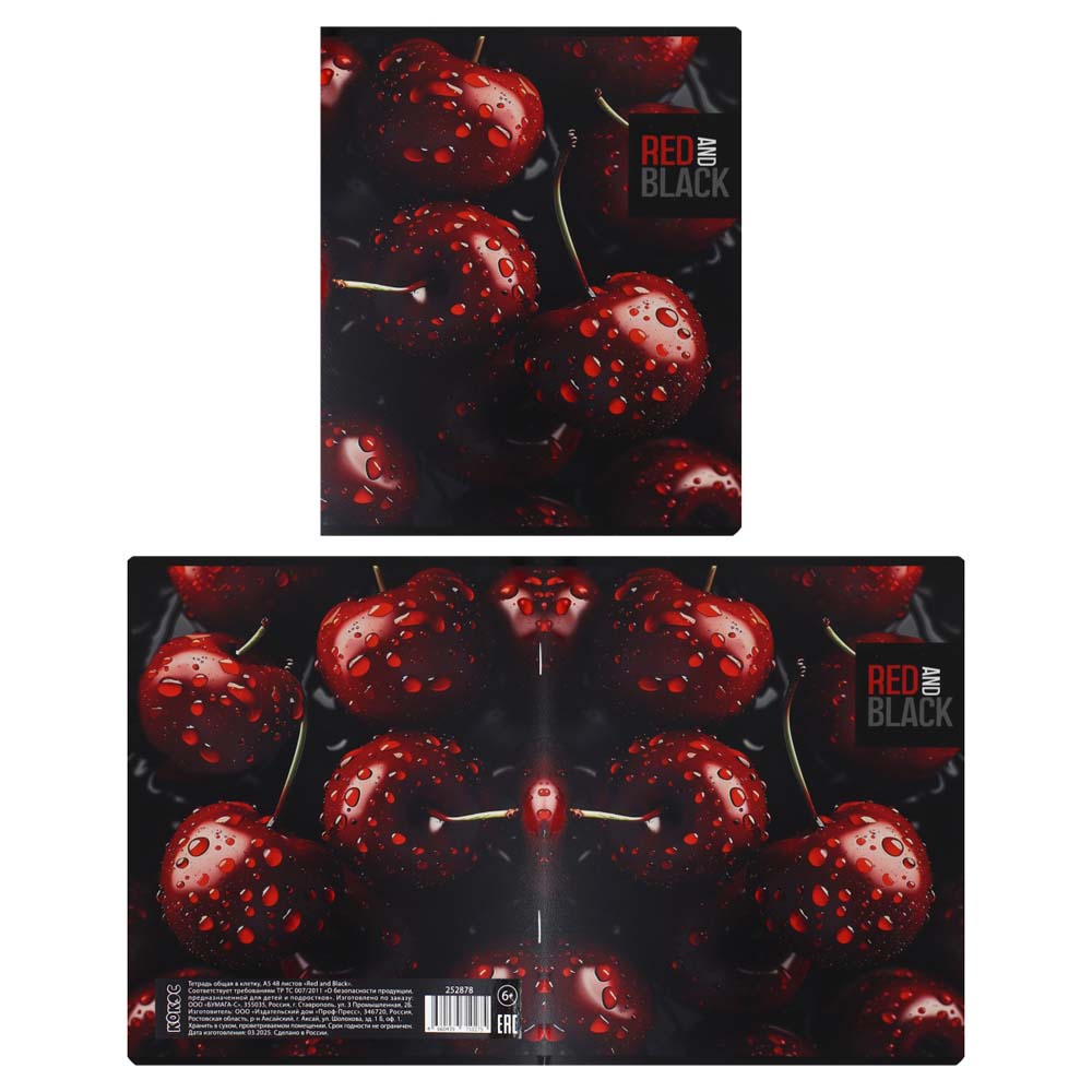 Тетрадь 48л. кл. "red and black" (кокос) б/б,выб.лак,твин лак,асс-т