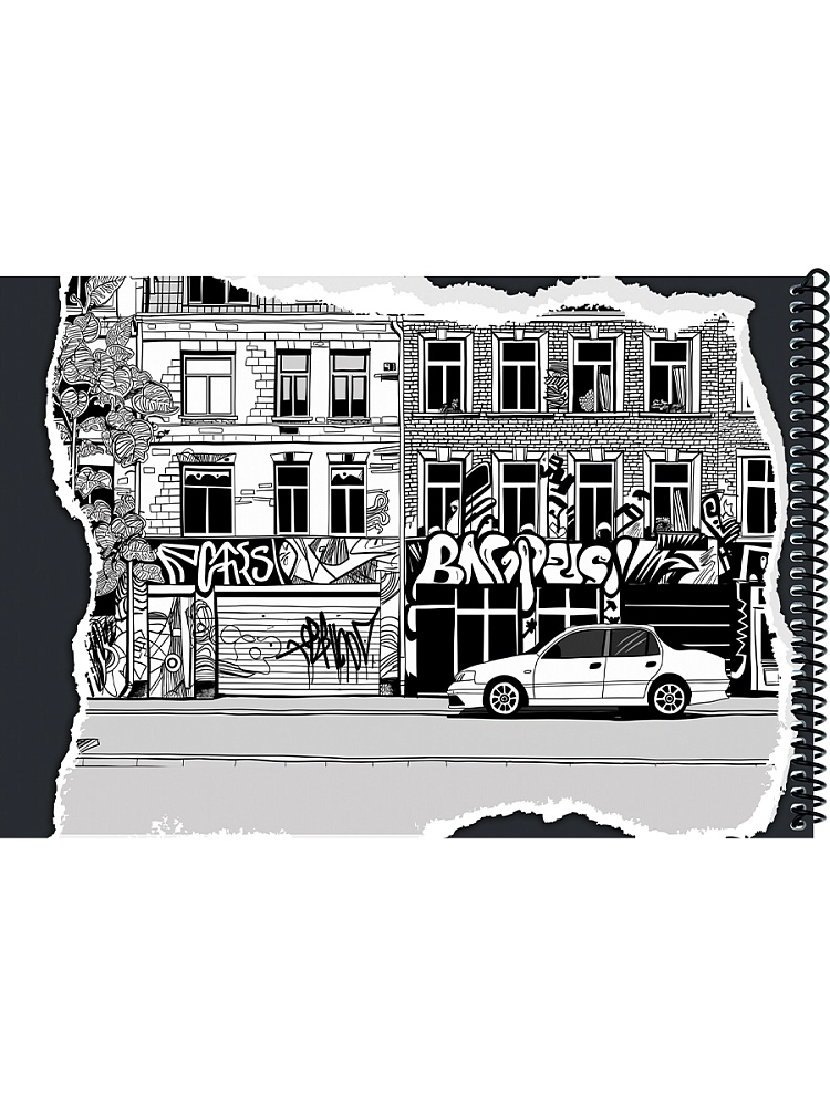Альбом д/рис. а4 40л.спираль "цветные и чёрно-белые граффити" (проф-пресс)