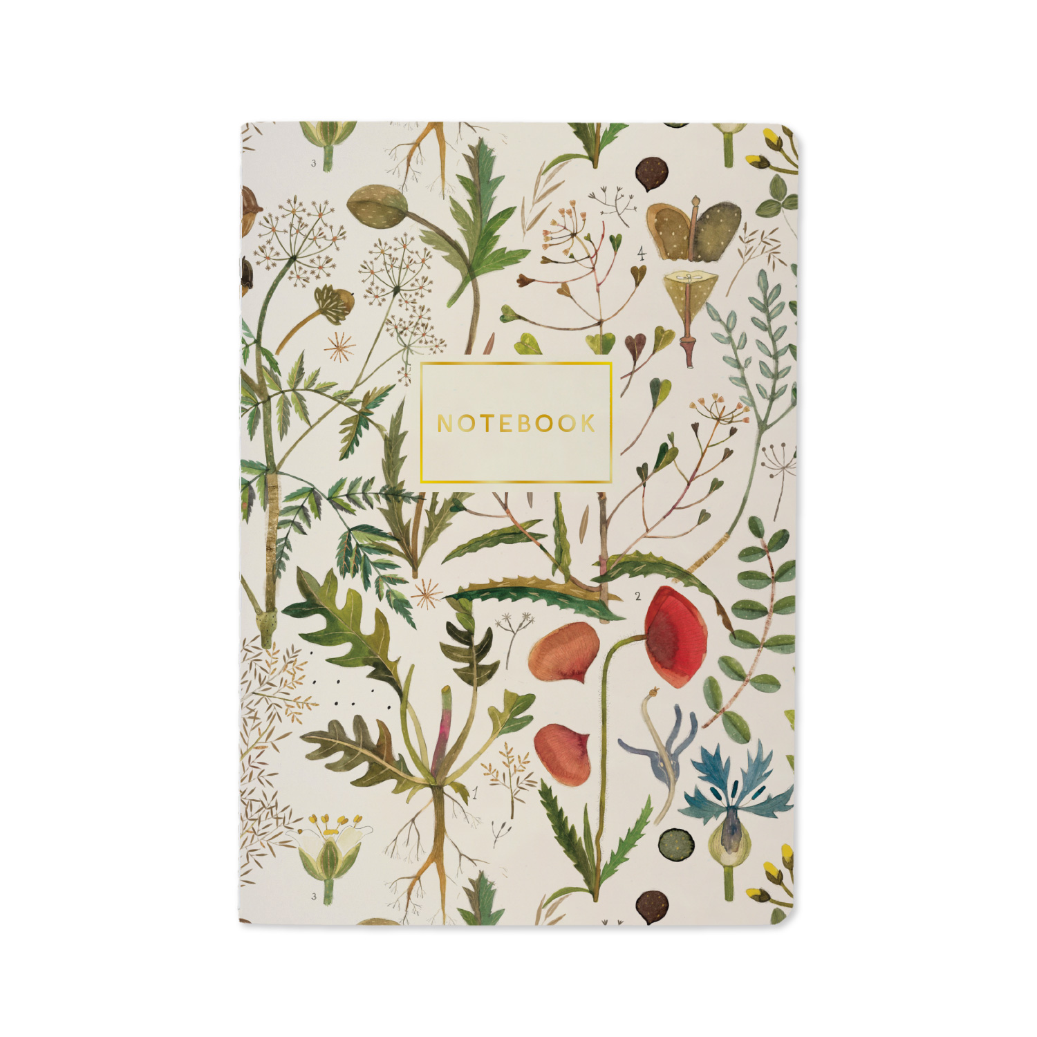 Тетрадь 40л. лин. "flora. луговые травы" (bruno visconti) т/б,софт тач,фольга,цветной форзац