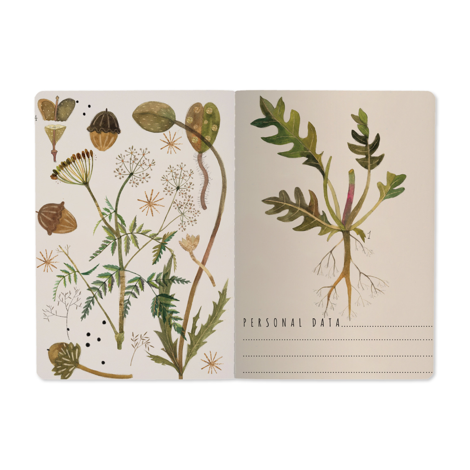 Тетрадь 40л. лин. "flora. луговые травы" (bruno visconti) т/б,софт тач,фольга,цветной форзац