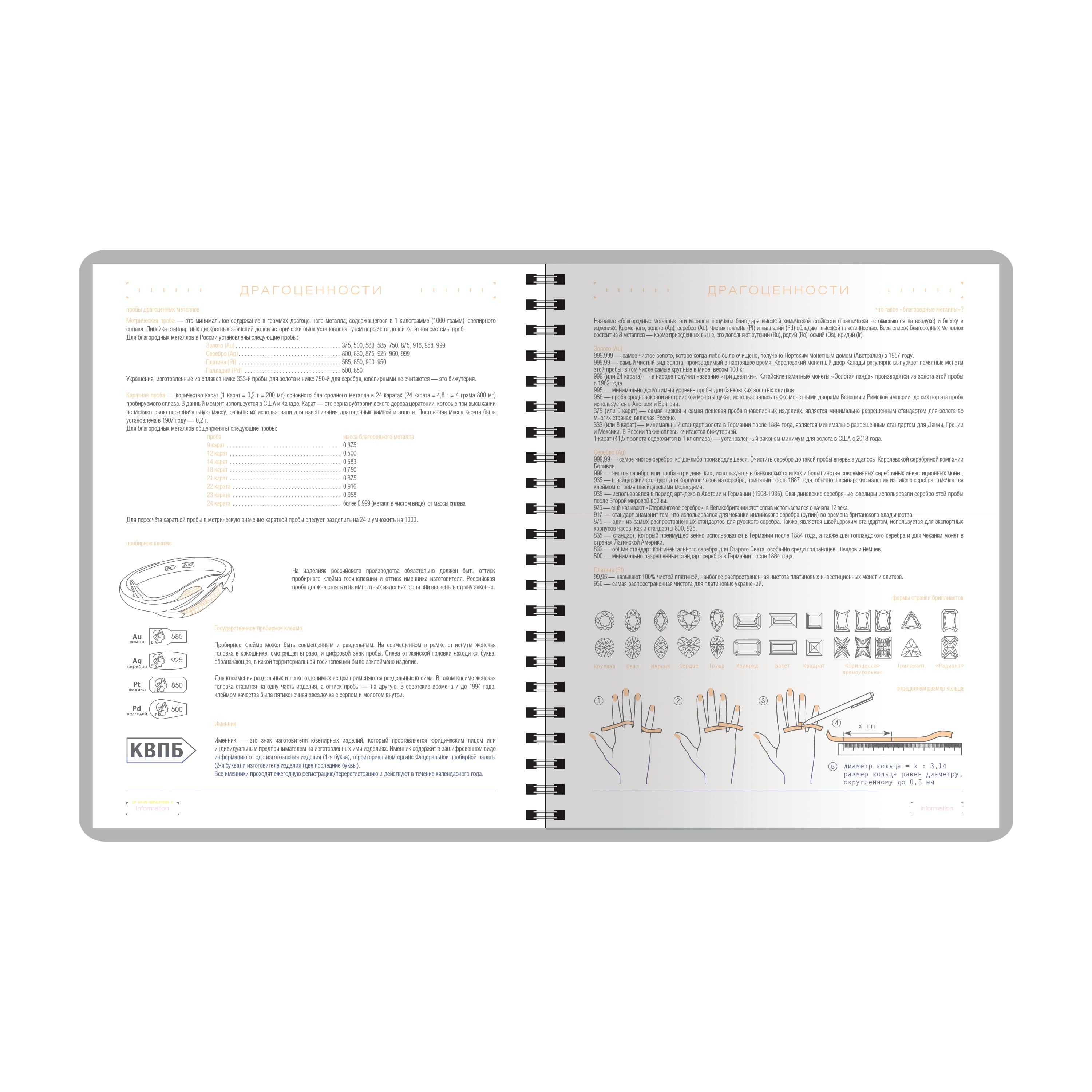 Ежедневник недатир. а5 bruno visconti "torino" серебряный,гребень,с хлястиком на кнопке,кож.зам.