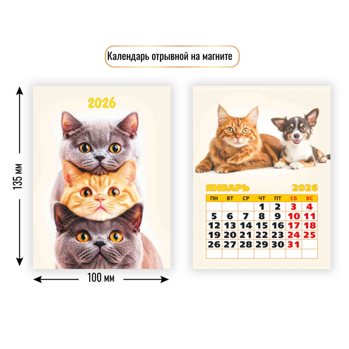 Календарь настенный отрывной 2026 100х135 "котики" с магнитным креплением