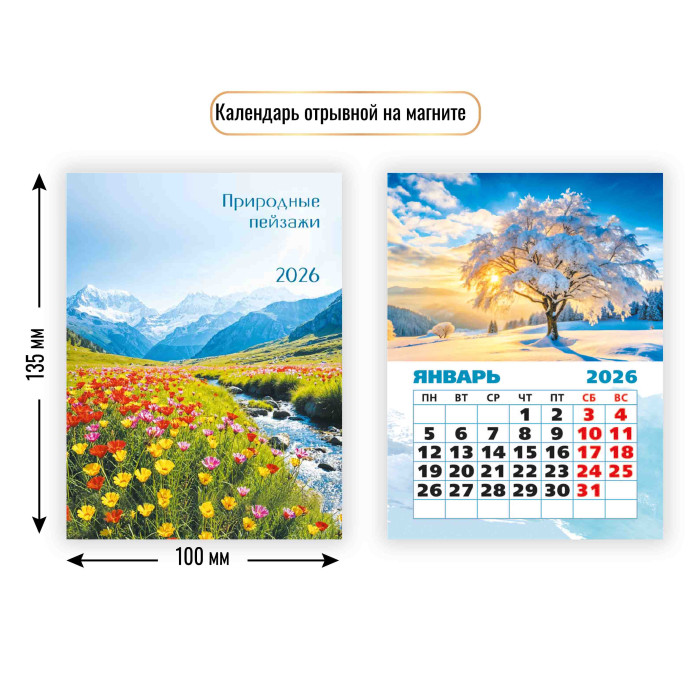 Календарь настенный отрывной 2026 100х135 "природа" с магнитным креплением