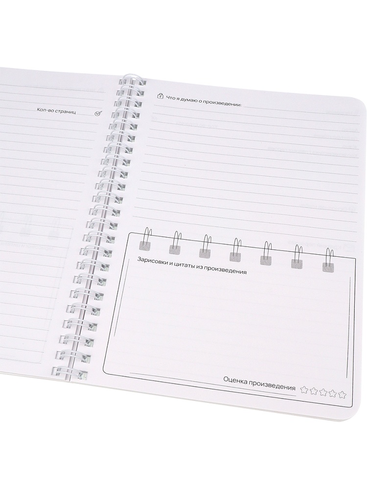 дневник читательский гребень пласт.обл. а5 56л. "кот" (проф-пресс) Дневник читательский гребень пласт.обл. а5 56л. "кот" (проф-пресс)