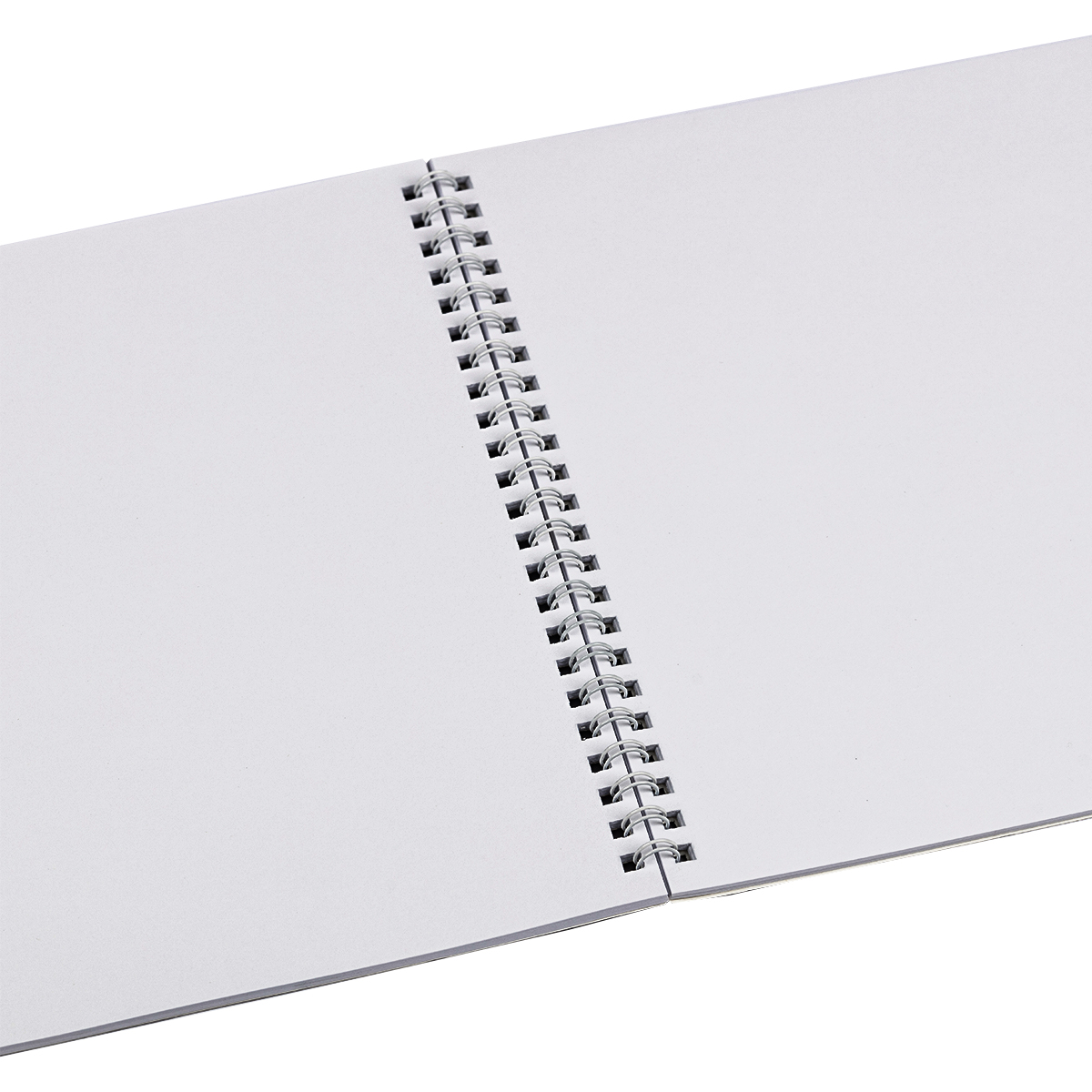 Альбом д/рис. а4 40л.гребень "волшебные моменты" (svetoch) пласт.обл. асс-т