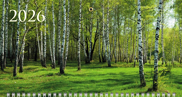 Календарь настенный 3-блочный 2026 "времена года" + бегунок