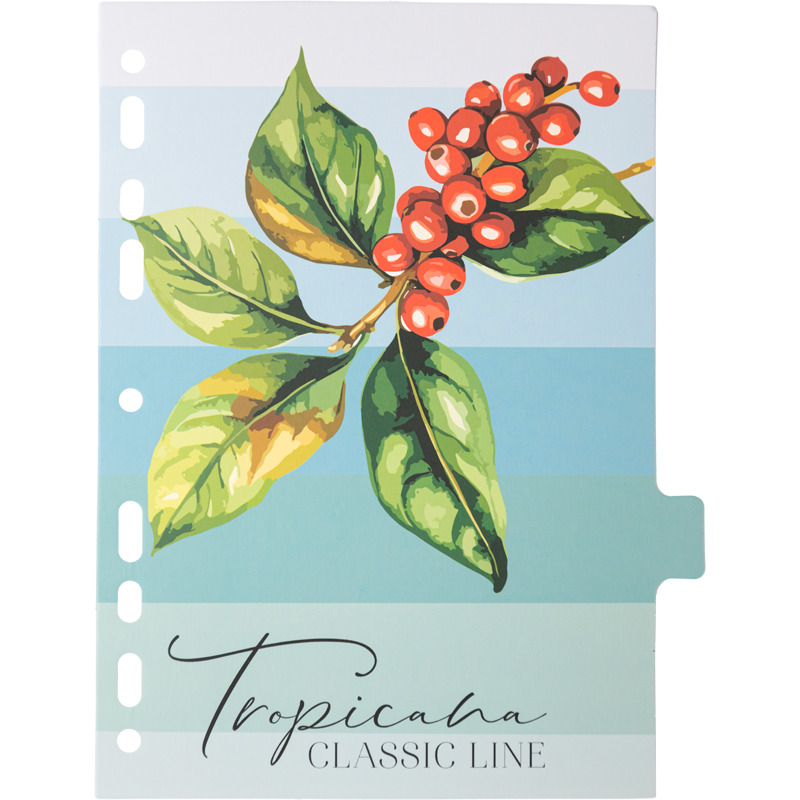 Разделитель 8-цветный а5 картон devente "tropicana" 8 листов