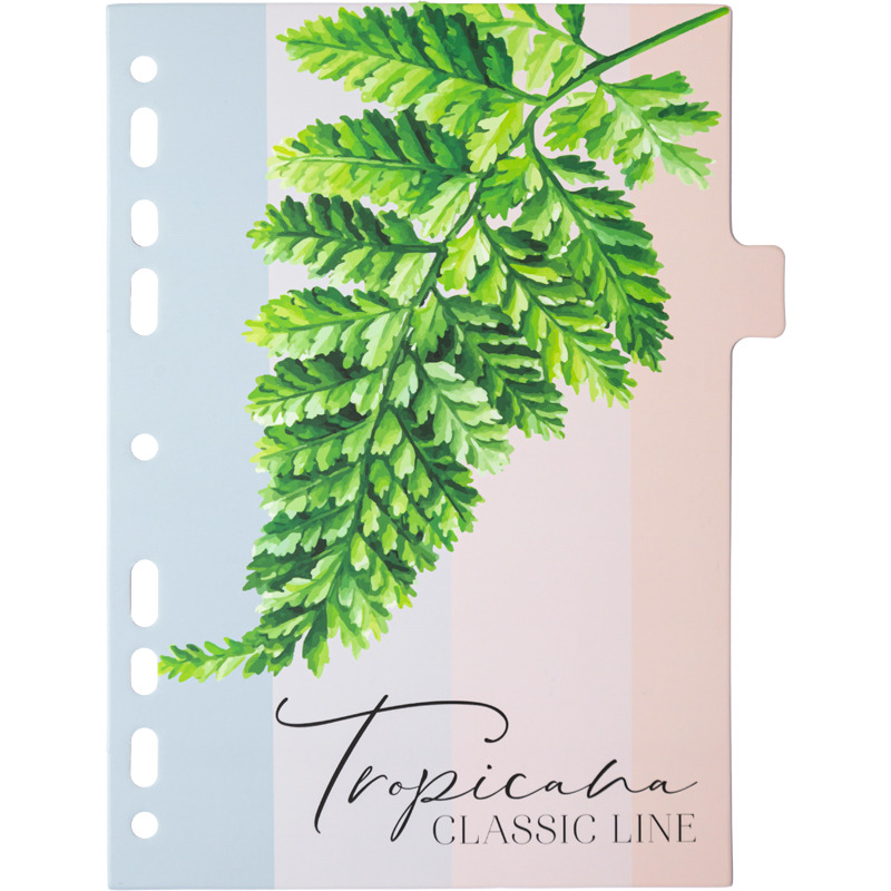 Разделитель 8-цветный а5 картон devente "tropicana" 8 листов