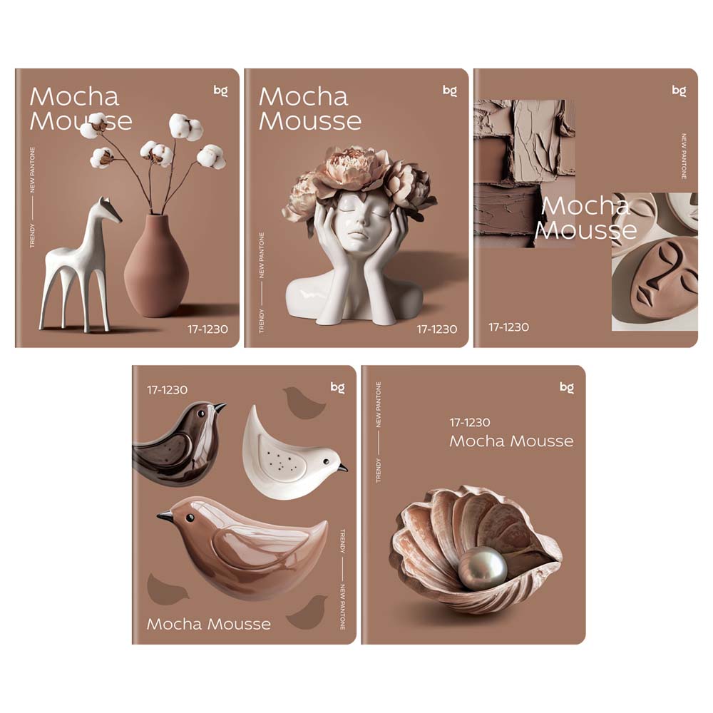 Тетрадь 48л. кл. "mocha mousse" (bg) б/б,софт тач,асс-т
