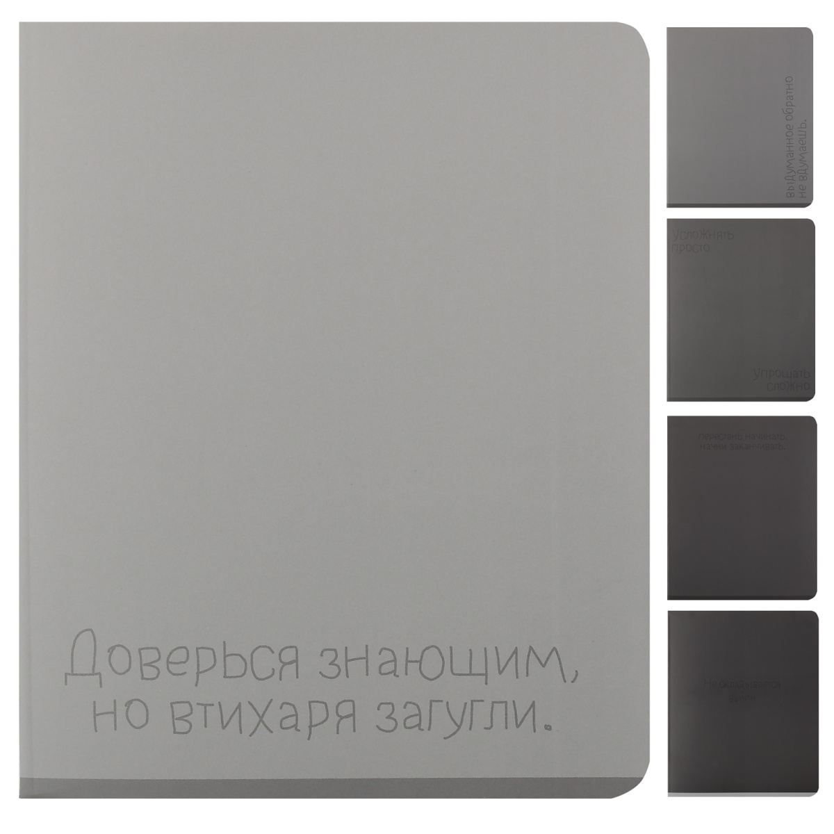 Тетрадь 48л. кл. "5 shades of gray" (кокос) б/б,мат.лам.,асс-т