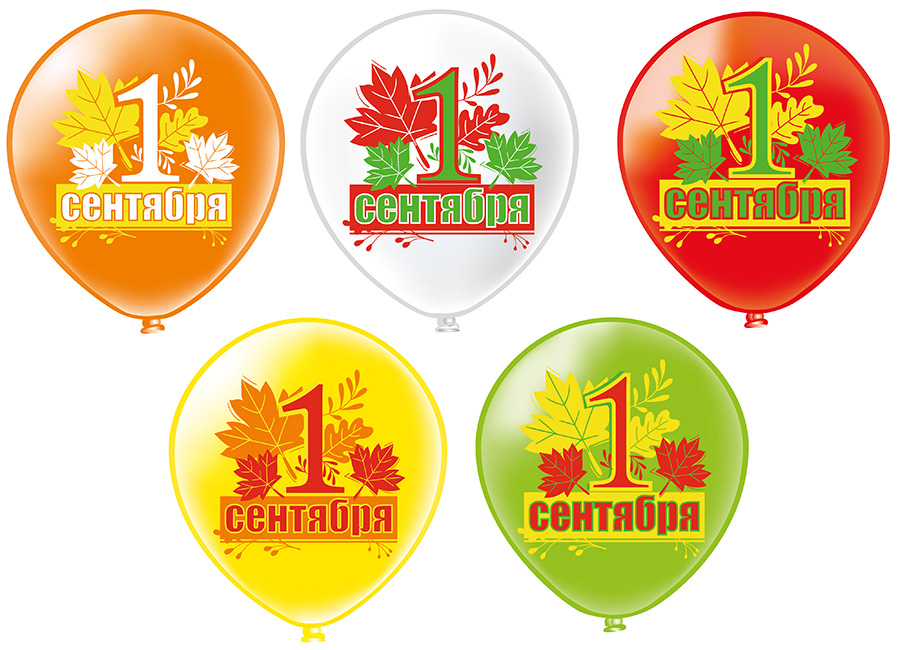 Шар возд. 12''/30см шелк "праздник 1сентября! листья" 1ст. асс-т