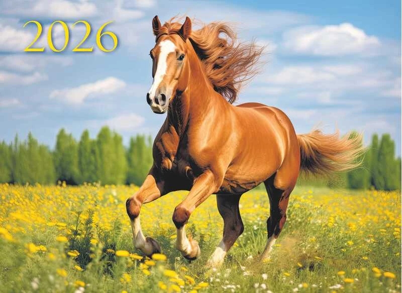 Календарь настенный 3-блочный 2026 "год лошади. скаковая" + бегунок