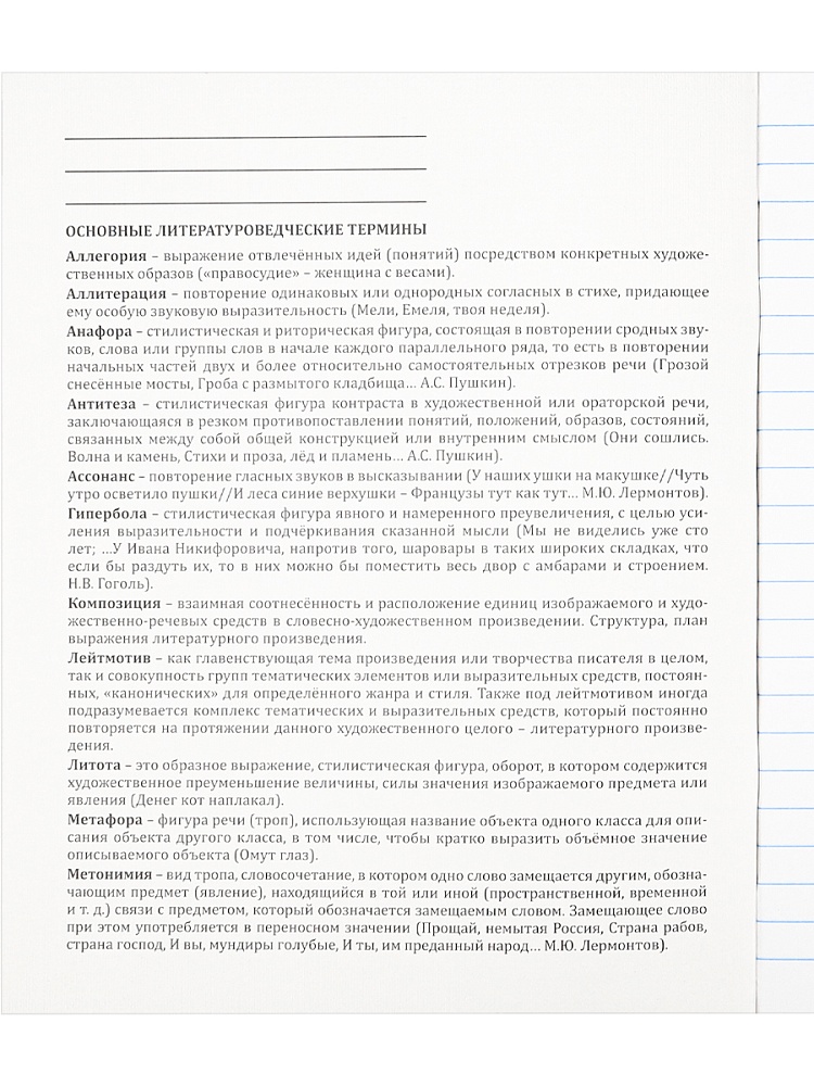 Тетрадь 48л. "про хвост" литература (проф-пресс) тиснение, холст