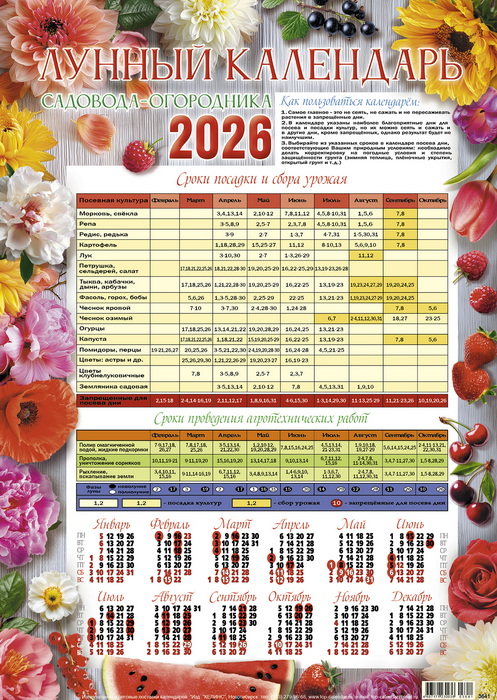 Календарь настенный 2026 а3 "лунный 1"