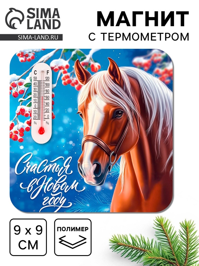 Сувенир на магните "счасть в новом году" 9х9см
