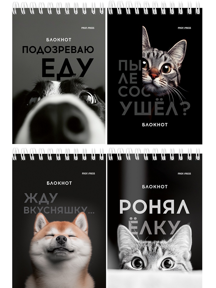 Блокнот а6 гребень 40л. кл. "смешные питомцы" (проф-пресс) асс-т