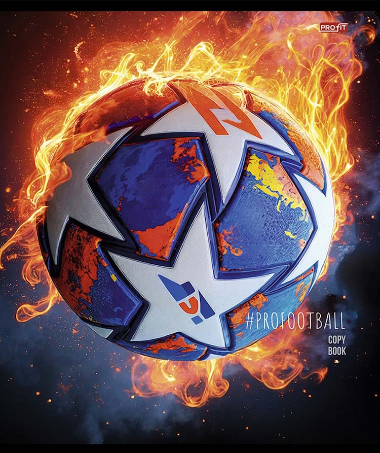 Тетрадь 48л. кл. "разные футбольные мячи" (проф-пресс) б/б,асс-т