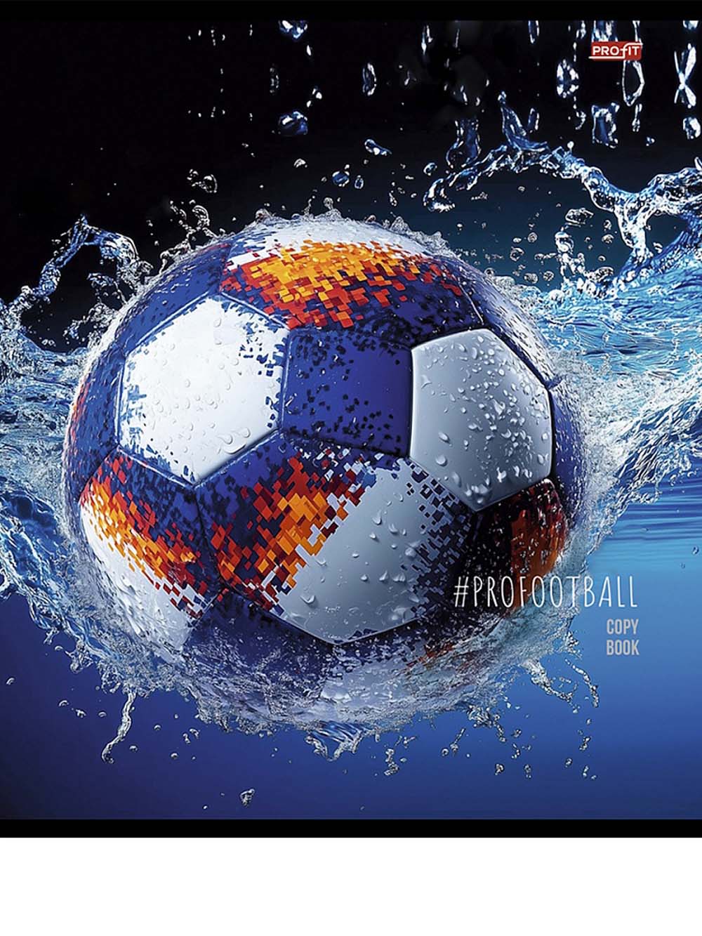 Тетрадь 48л. кл. "разные футбольные мячи" (проф-пресс) б/б,асс-т