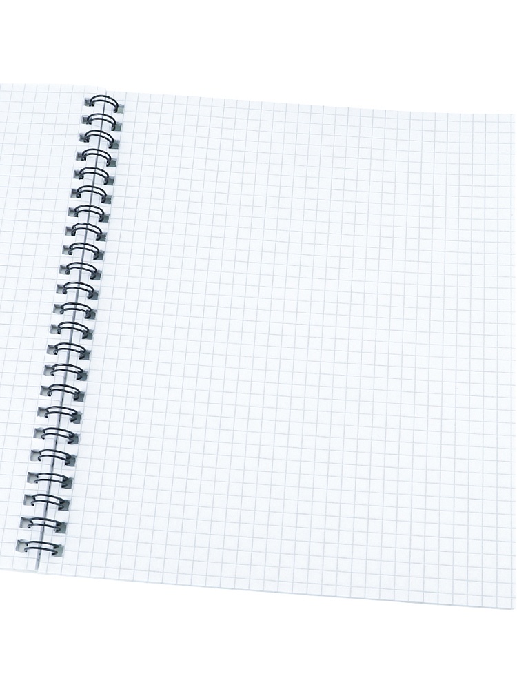 Тетрадь гребень 96л. кл. "красивая архитектура" (проф-пресс) б/б