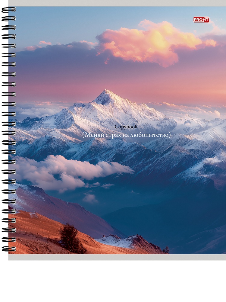 Тетрадь гребень 96л. кл. "красивые горы" (проф-пресс) б/б